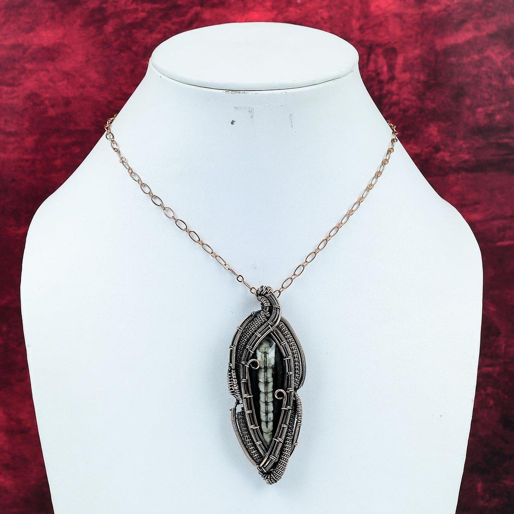Orthoceras Fossil Pendant Copper Wire Wrapped Gemstone Pendant Wonderful Copper Jewelry Handmade Pendant Gifts For Wife Wire Wrapped Jewelry