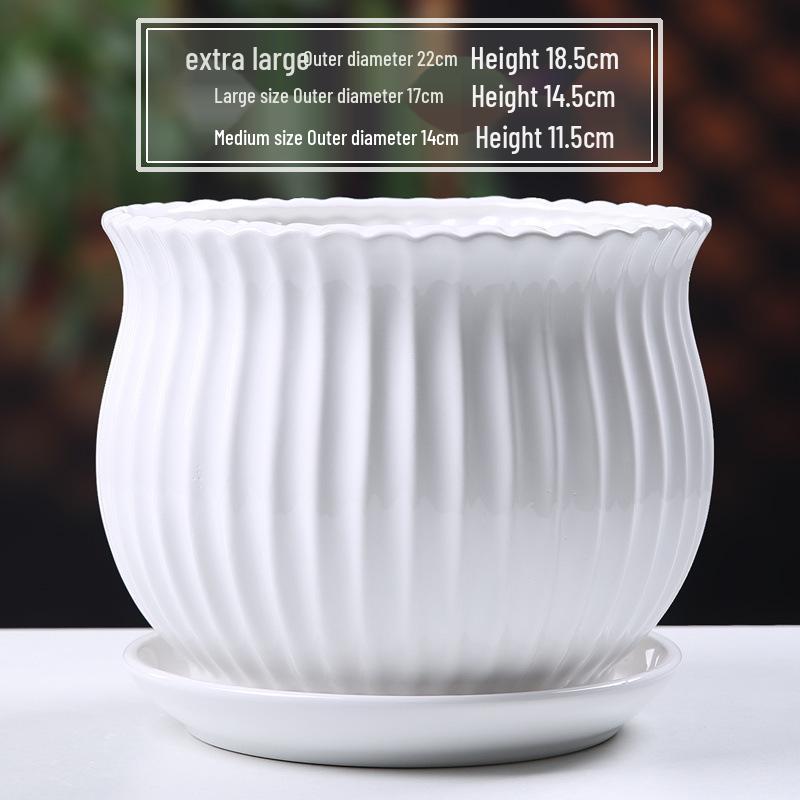 Simple White Ceramic Flower Pot with Base for Indoor Plants - Available in Large and Extra Large