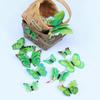 Green 3D Magnet Butterefly Self Adhesive Home Décor Wall Décor Wall Sticker (Set of 12)