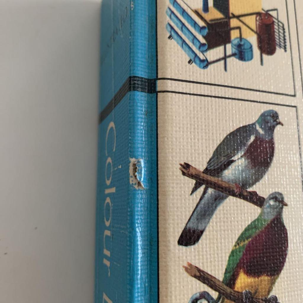 [USED] ILLUSTRATED Colour Dictionary