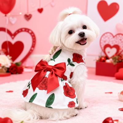 Kleding en schoenen – Jurken voor honden