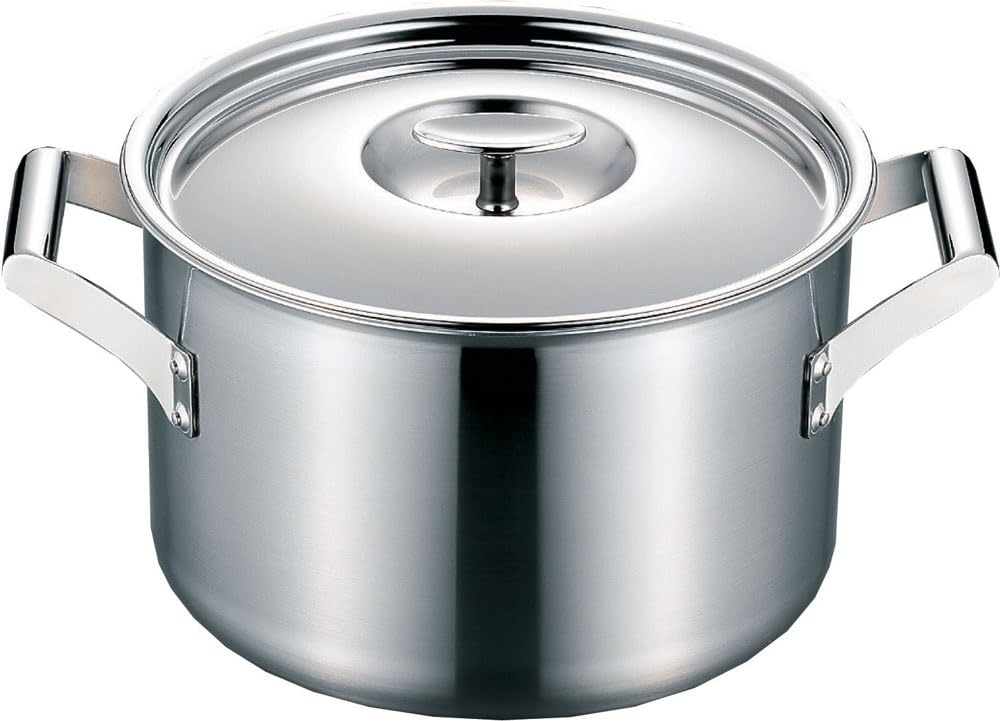

Fujinos Elec Master Pro (IH compatible) 24cm pot with handles, 116123