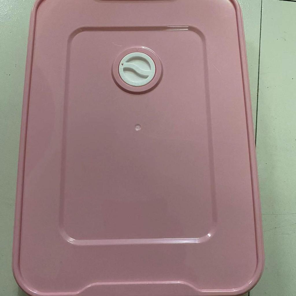 Portable Dumpling & Wonton Fresh-Keeping Lunch & Storage Box with Timing Feature