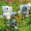 Australian Koala Plush Toy - Soft Cloth Doll for Girls' Birthday Gift