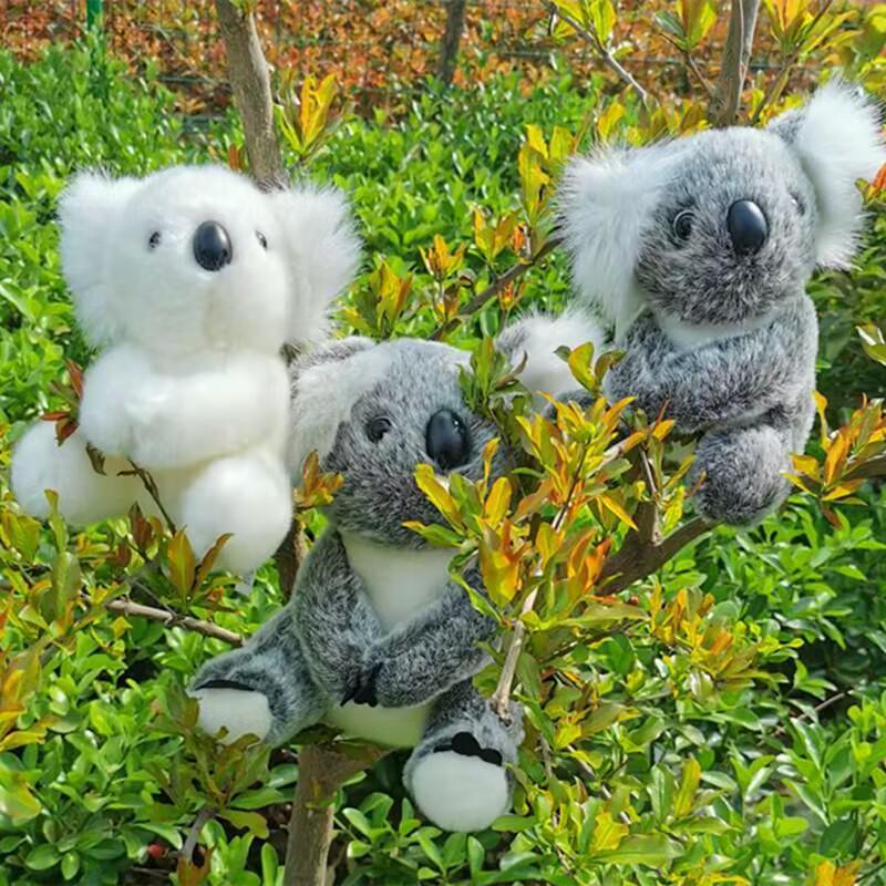 Australian Koala Plush Toy - Soft Cloth Doll for Girls' Birthday Gift