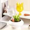 Clear Plant Automatic Watering System Balls Tulip Shape Self Watering Globes Plant Waterer