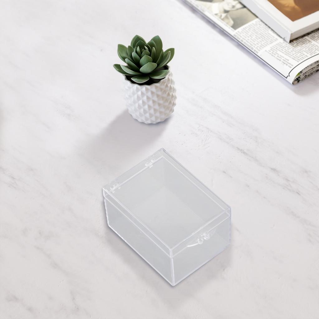 Premium Clear Plastic Storage Box for Insect Specimens Desktop Container