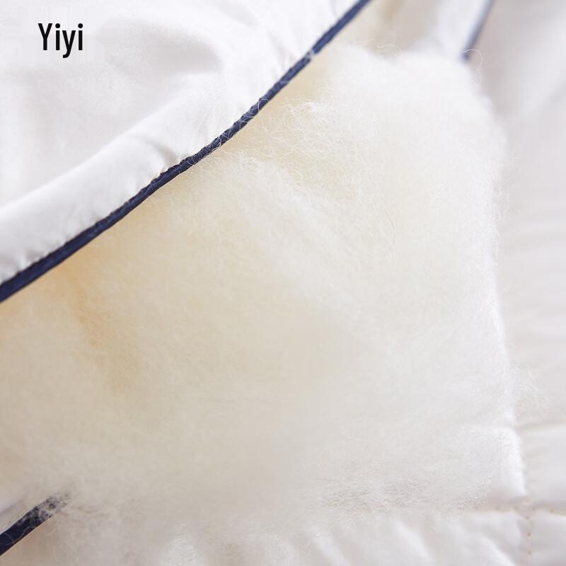 Yiyiai DB-8YMB-003 Warm Wool Winter Duvet