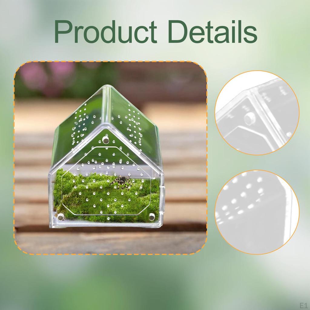 for Jumping Spiders Box Acrylic Terrarium with Ventilation Holes Panoramic Observation Suitable