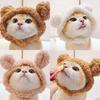 Pet Headgear Cute Cat Small Dog Winter Warm Headgear Headgear Cross-dressing Hat Chick Pet Headgear