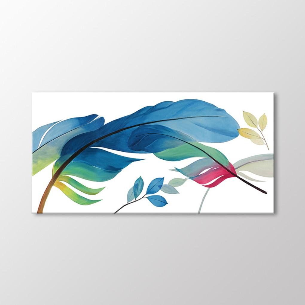 

Красочные перья