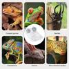 Magnetic Reptiles Suction Cup Food Tray Gecko Easy Installation Feeding Station Food Dish For Lizards Chameleons Tree Frogs