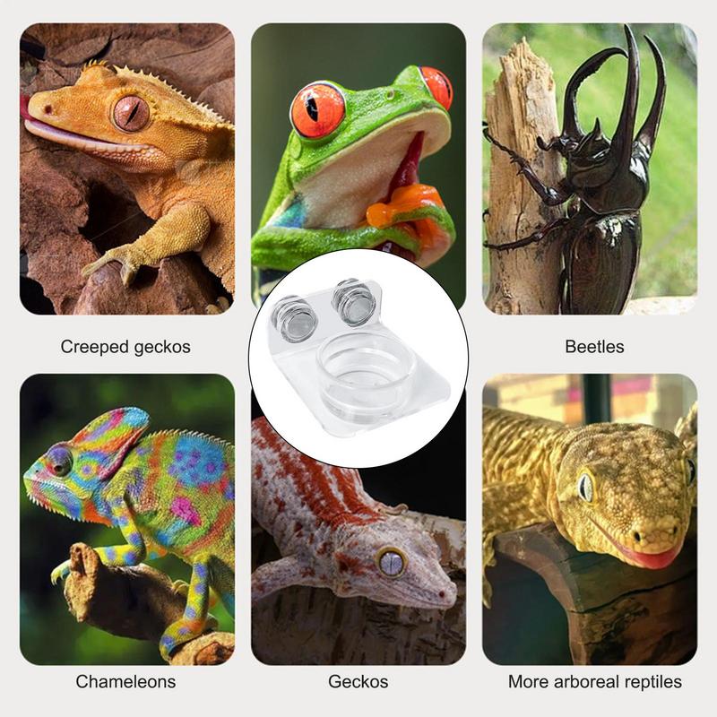 Magnetic Reptiles Suction Cup Food Tray Gecko Easy Installation Feeding Station Food Dish For Lizards Chameleons Tree Frogs