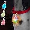 2Pcs Rechargeable LED Dog Collar Pendant Plastic Dog Cat Collar Luminous Collar  Night Walks