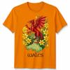 St Davids Day Welsh Flag Dragon Daffodil Wales Festival T Shirt Unisexs Kids Unisex