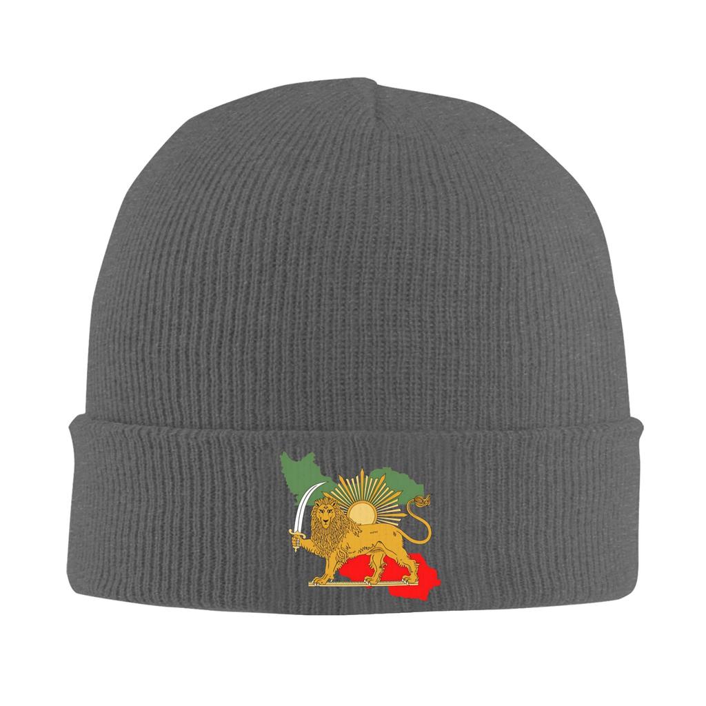 Persia Map & Flag Beanie Hats  Knit Hat Unisex Women Y2K Cool Elastic Caps Autumn Hippie Graphic Bonnet Hats
