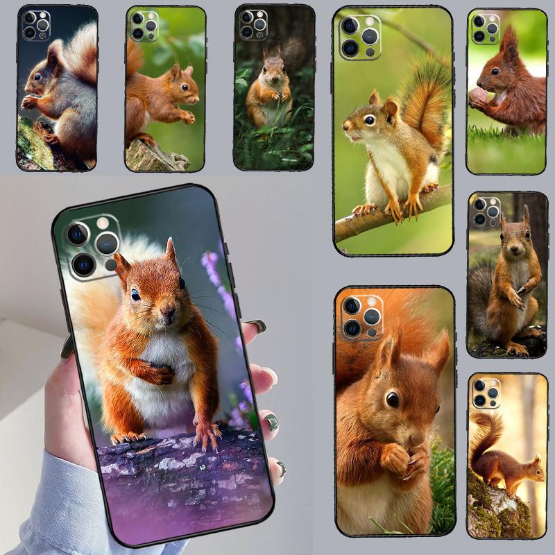 Squirrel Case For OnePlus 15 13 12 11 13R 13T 10T 10R 12R OnePlus Nord 5 CE 2 3 4 Lite N20 N30 Cover