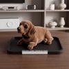 Hunde Autoornamente Bürogeschenk Bastelartikel Armaturenbrettspielzeug Heim Auto Innenraum Dekoration Schreibtisch Raumorganisator Pad