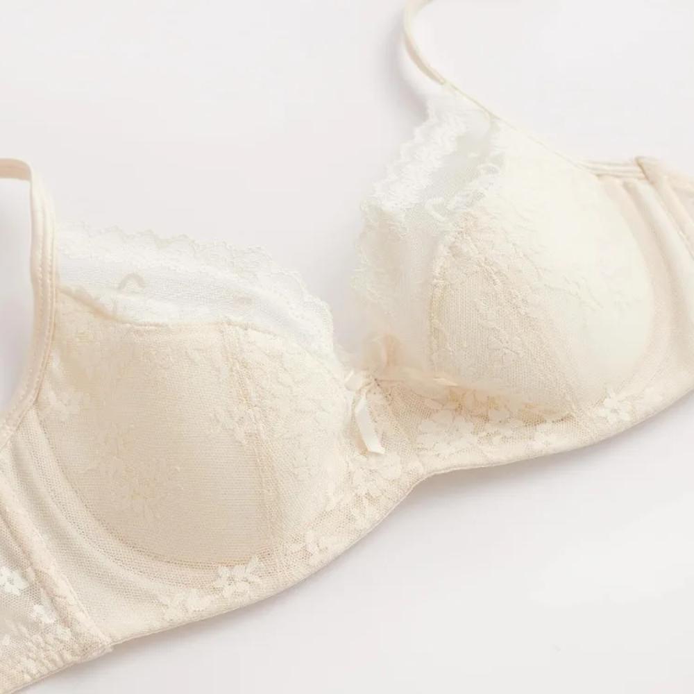 Summer Sexy Lace Embroidery Women Lingerie Set French Thin Cup Push Up Bra Comfort Breathable Underwear Ladies Bra Briefs Set