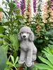 Elegant white poodle concrete mating figure