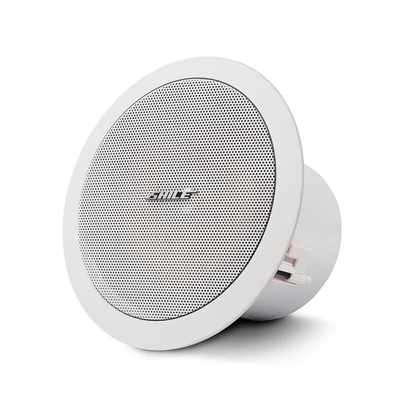 

Shile 6.5-inch Ceiling Speaker CN plug (adapter included) 6.5-inch