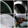 Christmas milk coffee star  cup double-layer insulated high boron glass Christmas cup