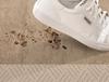 French Silk Coil Non-Slip Entrance Mat