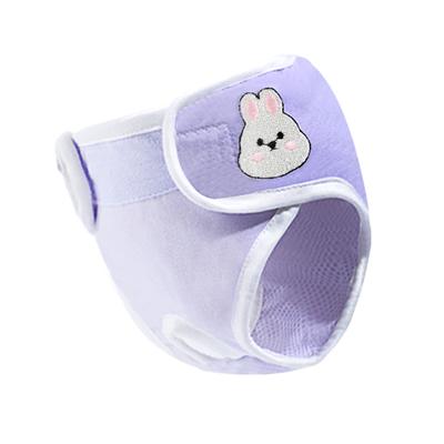 Confezione da 1 Pannolino per Cani per Teddy - Assorbenti Igienici per Cani Femmina, Pannolino in Carta Anti-Disturbo, A Prova di Perdite e Traspirante