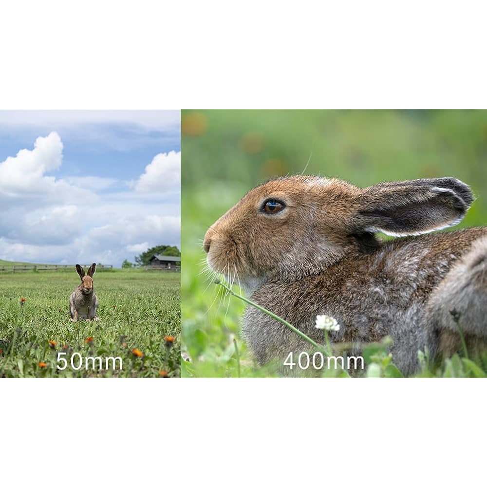 Tamron 50-400mm F/4.5-6.3 Di III VC VXD for Nikon Full Frame Mirrorless Cameras