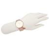 Coach Women's Perry 36mm Quartz Watch, White and Pink, Leather, COACH 14503884