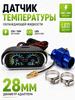 Electronic Thermometer