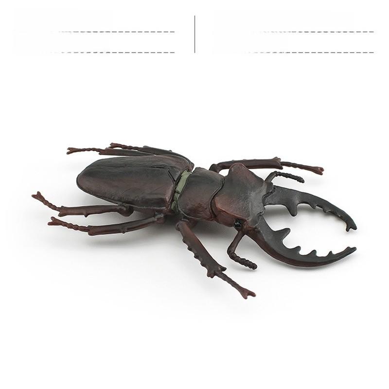 Insect Animal Model Pvc Collection For Educational Display And Collection Enthusiasts