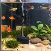 Skeletons Statue Dancing Skeleton Aquarium Bubbler  Fish Tank Layout Decor