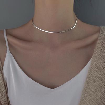 Gümüş Renk Klavikula Zincir Kolye Yılan Kemik Zincir Charm Kadın Gerdanlık Takı Hediye Trendy Aksesuarları