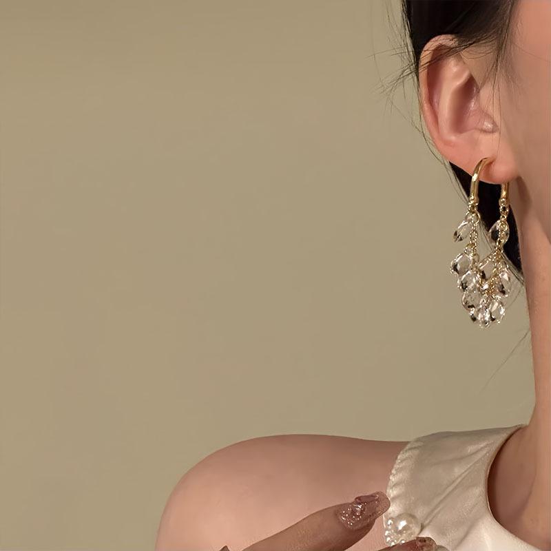 Water Drop Zircon Fringed Earrings Light Luxury Versatile Stud Earrings Niche Temperament Fashion Earrings