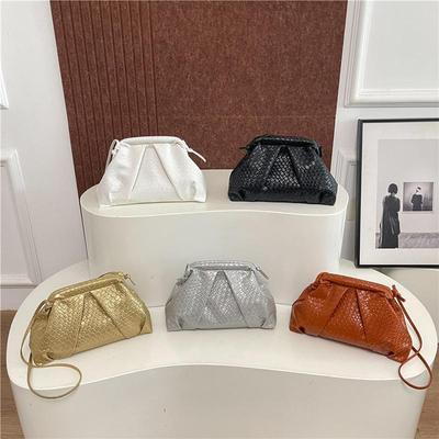 Bolsa Nuvem Feminina com Clipe Tecido Moda Luxo Leve Plissada Pequena Versátil e Estilosa Bolsa de Ombro Clutch Crossbody