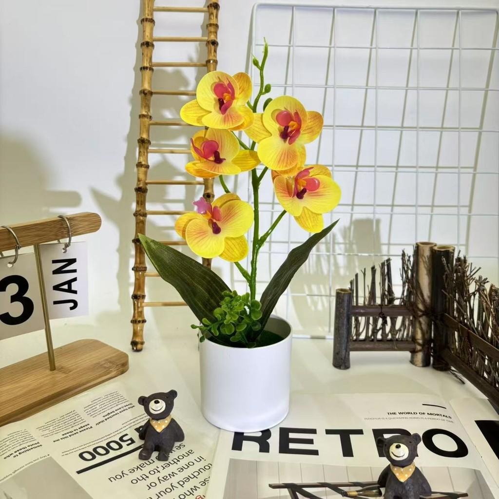 Artificial Plastic Phalaenopsis Flower Bonsai For Event Decoration Home Styling