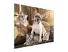 TÁBUA DE VIDRO PARA CORTAR 52x40 CÃO