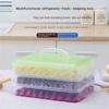 Dumpling Box Dumpling Freezing 1-3 Layer With Lid Food Grade Fresh-keeping Box Quick- Refrigerator Freezer Box