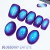 2025 Special Formula Temperament Whitening Blueberry Cat Eye Gel Polish