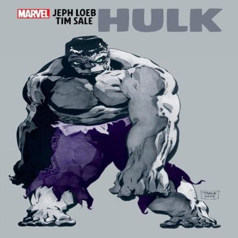 Jeph Loeb amp Tim Sale Hulk Gallery Edition by Jeph Loeb Hardback Book 9781302953072