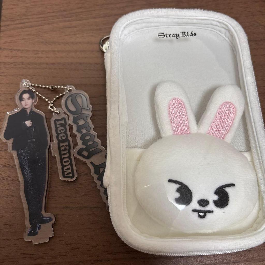 Used straykids Akky case + Akky