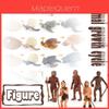 Bezaubernde Simulation Solide Schildkröte Küken Frosch Tier Wachstumszyklus Montessori Lehrmittel Für Pädagogischen Spaß Und Sammlerdekor