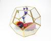 Nordic Geometric Glass Preserved Flower Decor for Home, Coffee Shop, or Wedding
