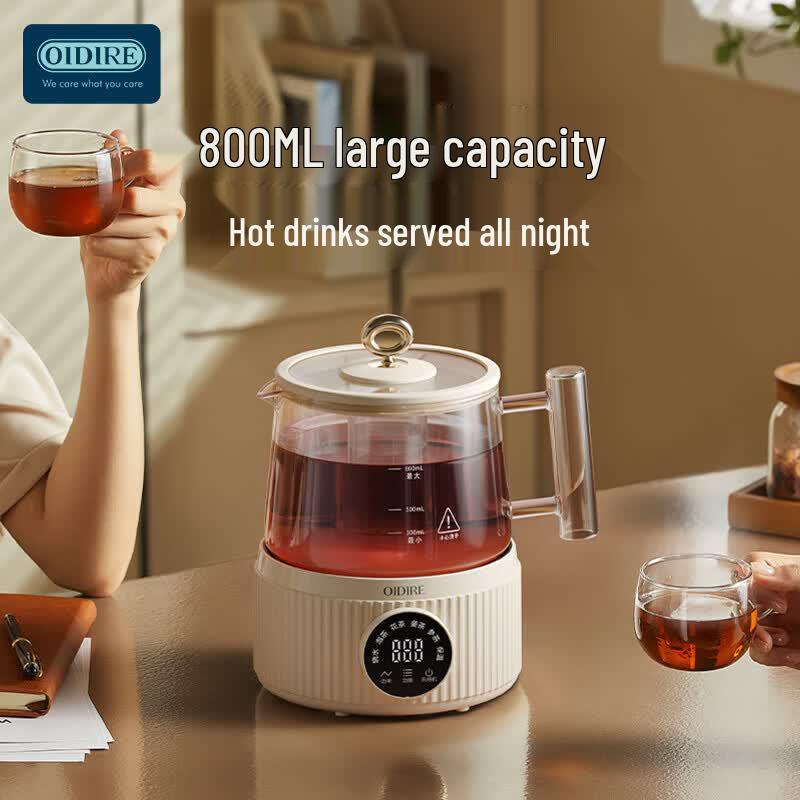 OIDIRE Multi-functional Health Tea Kettle CN plug (adapter included)
