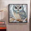 New Arrival 5D DIY Full Circle Diamond Painting "Owl" Embroidery Cross Stitch Home Decor Gift