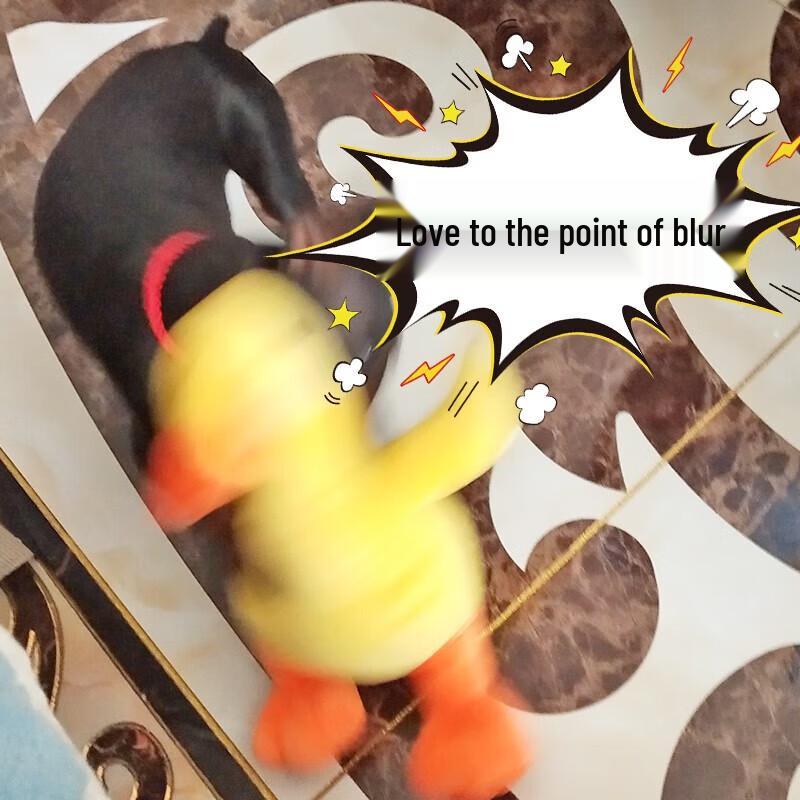 Hoopet Squeaky Duck Plush Dog Toy