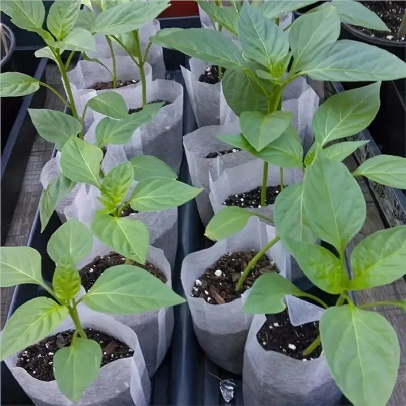 A84E-Seed Nursery Bags 100 PCS, Biodegradable Plant Grow Bags For Vegetable Flower Fruit Saplings Tree Seedling Starter Bag