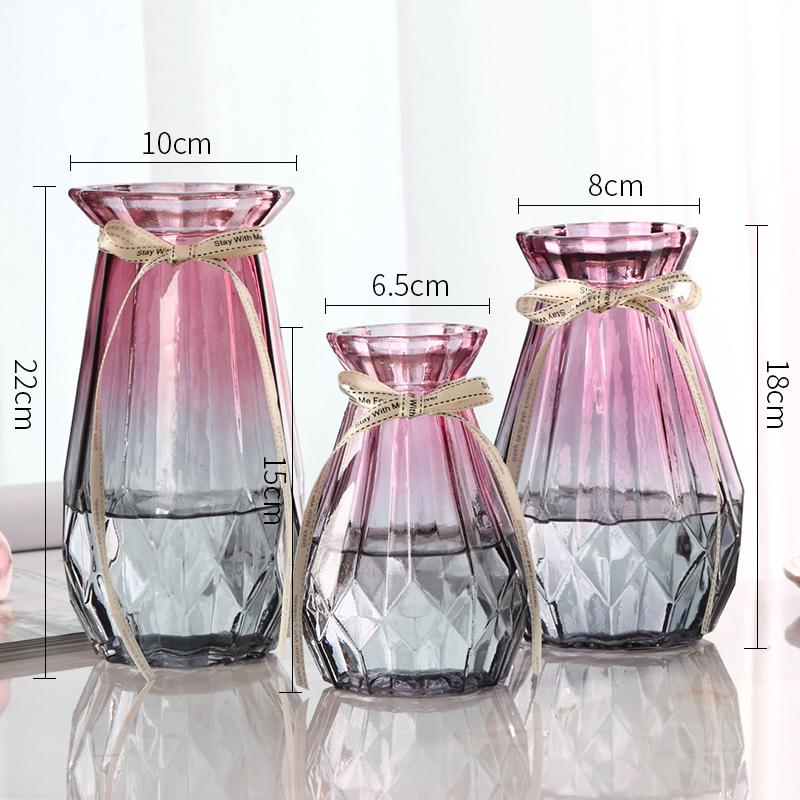 Nordic Transparent Glass Vase for Hydroponic Plants and Home Decoration