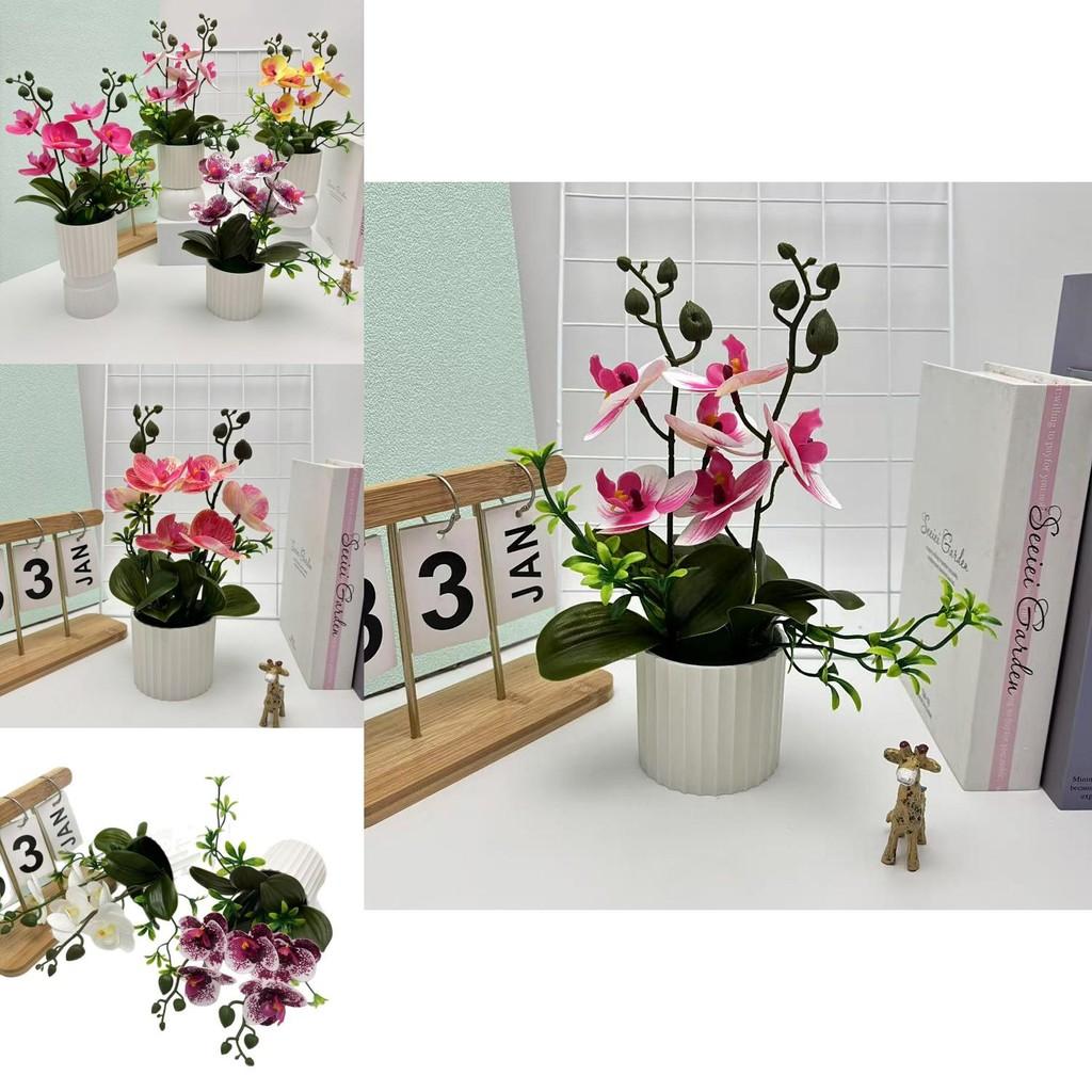 Fake Butterfly Orchid Flower With Pot For Indoor Home Decor And Greenery Enhancement
